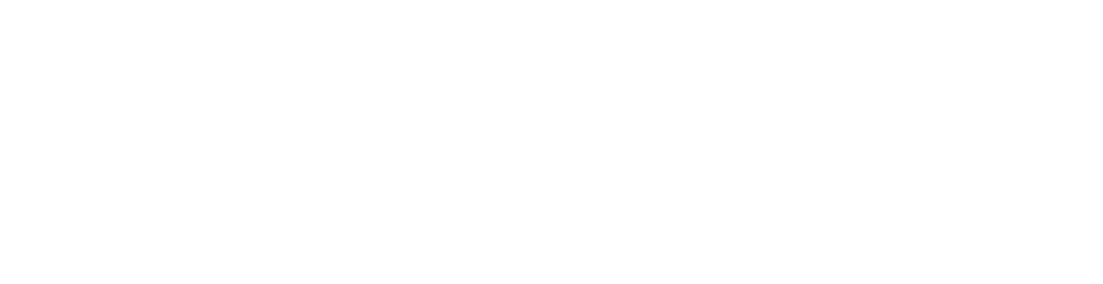 Logo Zopone